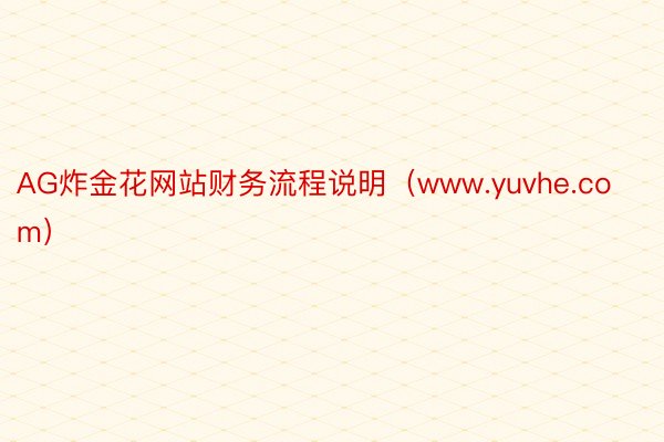 AG炸金花网站财务流程说明（www.yuvhe.com）