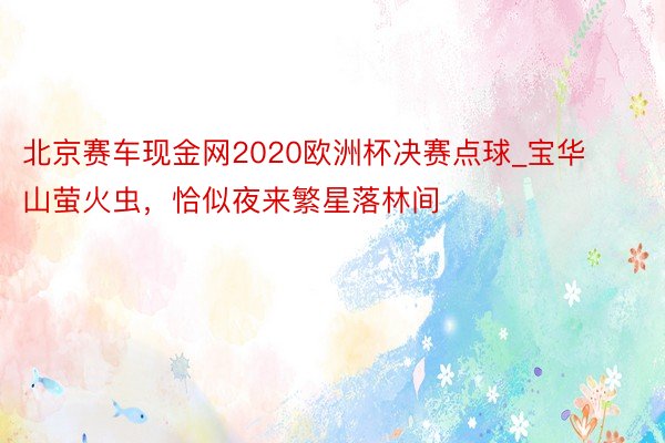 北京赛车现金网2020欧洲杯决赛点球_宝华山萤火虫，恰似夜来繁星落林间