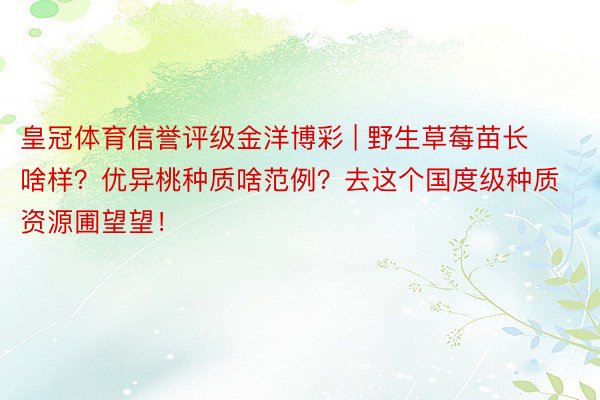 皇冠体育信誉评级金洋博彩 | 野生草莓苗长啥样？优异桃种质啥范例？去这个国度级种质资源圃望望！