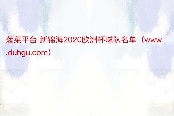 菠菜平台 新锦海2020欧洲杯球队名单（www.duhgu.com）