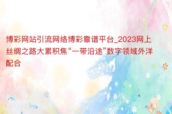 博彩网站引流网络博彩靠谱平台_2023网上丝绸之路大累积焦“一带沿途”数字领域外洋配合